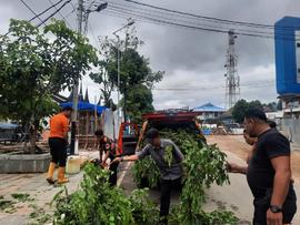 Foto tentang kejadian Pohon Tumbang dan Pemotongan Kayu didepan Niagara yang menghambat Jalan