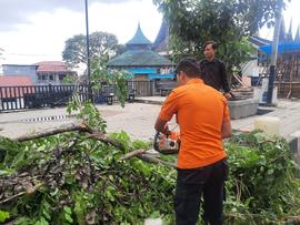 Foto tentang  Pohon Tumbang dan Pemotongan Kayu didepan SMP 1 yang menghambat Jalan