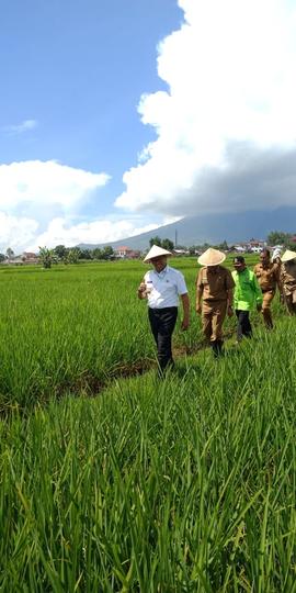 Pengukuhan Komisi Irigasi dan Pengurus Perkumpulan Petani Pemakai Air (P3A) Kota Bukittinggi Tahu...