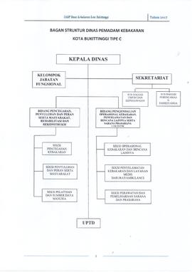8. STRUKTUR ORGANISASI DISKAR