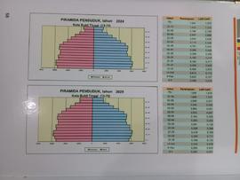 Piramida Penduduk, tahun 2024  dan 2029