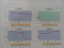 Grafik Proyeksi GRR, Grafik CBR, Grafik Net Migrasi, dan Grafik CDR Kota Bukittinggi ( 13-75 )