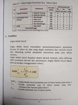 Khazanah arsip   halaman 5  dari BAB IV./ Tabel 27 : Tabel Angka Kematian Ibu, Pendidikan.
