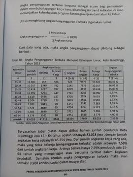 Khazanah arsip   halaman 8  dari  BAB IV. Kualitas Penduduk, Tabel 30 : Angka Pengangguran Terbuk...