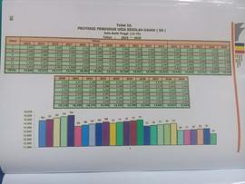 Tabel 10. Proyeksi Penduduk usia Sekolah Dasar ( SD ).  Kota Bukittinggi.