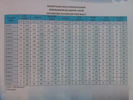 Rekapitulasi Kependudukan Berdasarkan Kelompok Umur, Kecamatan Aur Birugo Tigo baleh