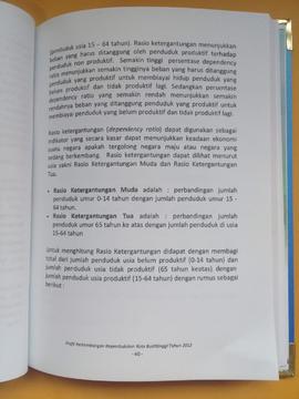 Khazanah arsip   halaman 20 dari BAB III,kelanjutan topik Konsepsi Rasio Ketergantungan / Depeden...