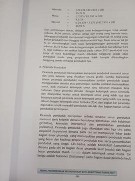 Khazanah arsip  halaman 15  dari BAB III, Piramida Penduduk.