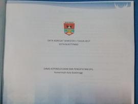 Lembaran Judul Data Agregat Kependudukan Kota Bukittinggi Semester II tahun 2017