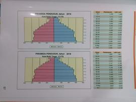 Piramida Penduduk, tahun 2014  dan 2019