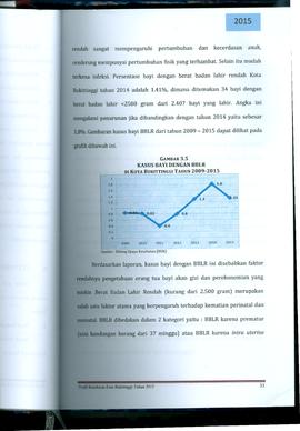 Khazanah Arsip Profil Kesehatan Kota Bukittinggi Tahun 2015 (Lembar 47)