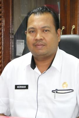 HERMAN, A.Md (PRANATA KOMPUTER)