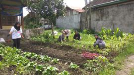 Foto Goro 3 bulan bersih Lingkungan Kelurahan Aua Tajungkang Tengah Sawah Tahun 2018