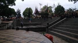 Kegiatan Relokasi Monyet dari Taman Panorama Lobang Jepang Bukittinggi bersama BKSDA Sumatera Bar...