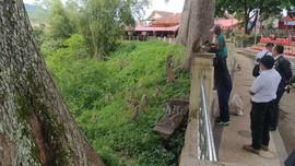 Kegiatan Relokasi Monyet dari Taman Panorama Lobang Jepang Bukittinggi bersama BKSDA Sumatera Bar...