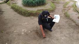 Kegiatan Relokasi Monyet dari Taman Panorama Lobang Jepang Bukittinggi bersama BKSDA Sumatera Bar...
