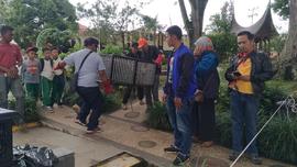 Kegiatan Relokasi Monyet dari Taman Panorama Lobang Jepang Bukittinggi bersama BKSDA Sumatera Bar...