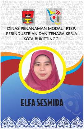 Kabid Pelayanan Perizinan Sektor B