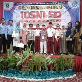 Prestasi Yang Diraih Oleh SDN 03 Pakan Kurai
