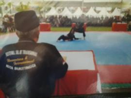 Foto Festival Silek Tradisional