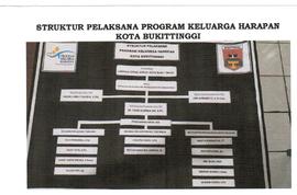 Struktur  pelaksanaan  program Keluaraga harapan  ( PKH )