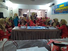 Bidang Pokja I, Lomba Simulasi Pola Asuh Anak dan Remaja