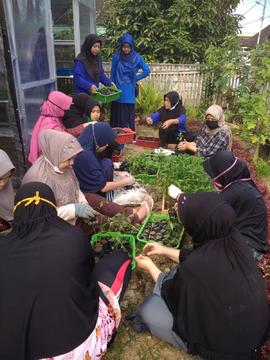 Gotong Royong setiap Minggu  Anggota  Kelompok Tani Wanita (KWT) SANJAYA Kelurahan Manggis Gantin...