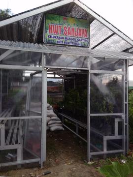Kebun Kelompok Tani Wanita (KWT) SANJAYA Kelurahan Manggis Ganting Kecamatan Mandiangin Koto Sela...